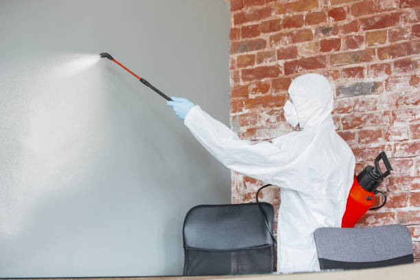 Best Biohazard Mold Removal  in Rome, GA