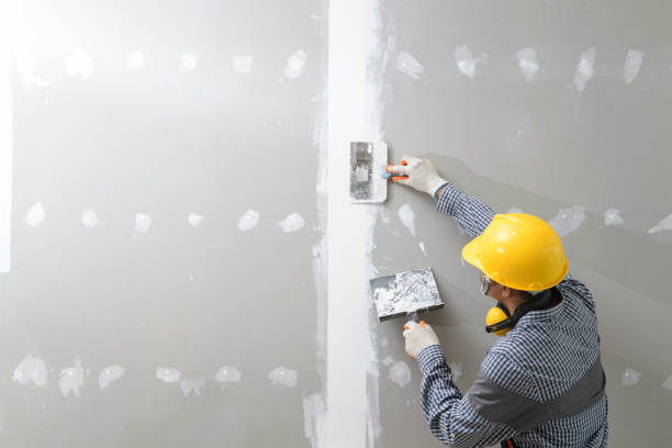 Best Post-Construction Mold Inspection  in Rome, GA