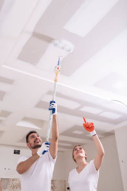 Professional Mold Removal in Rome, GA
