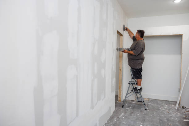 Best Mold Remediation for Rental Properties  in Rome, GA