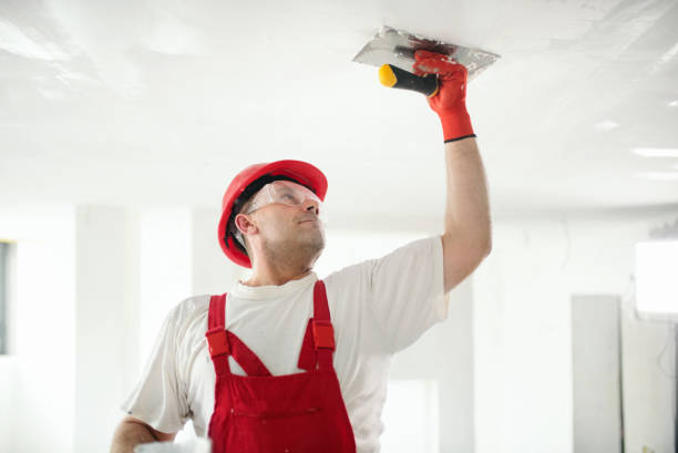 Environmental Consulting for Mold Prevention in Rome, GA