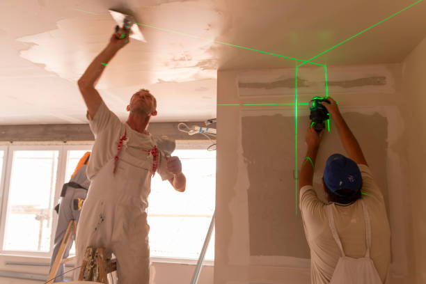 Best Attic Mold Removal  in Rome, GA