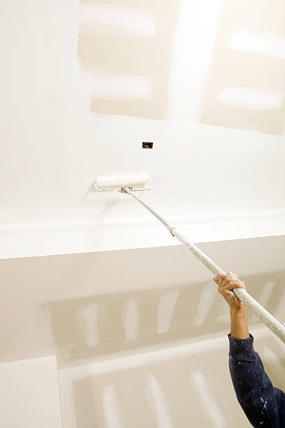Best Mold Documentation for Insurance Claims  in Rome, GA