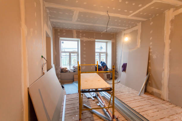 Best Environmental Consulting for Mold Prevention  in Rome, GA