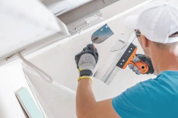 Best Emergency Mold Remediation  in Rome, GA